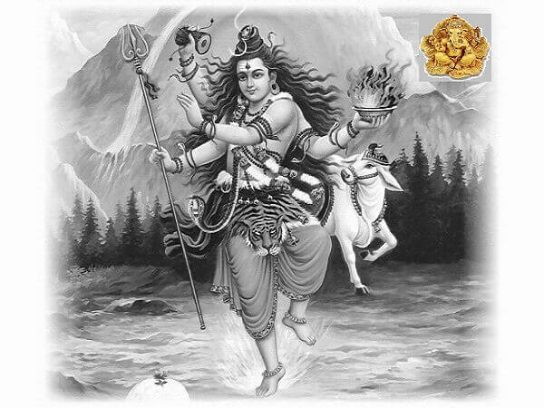 Bhrigu Nadi